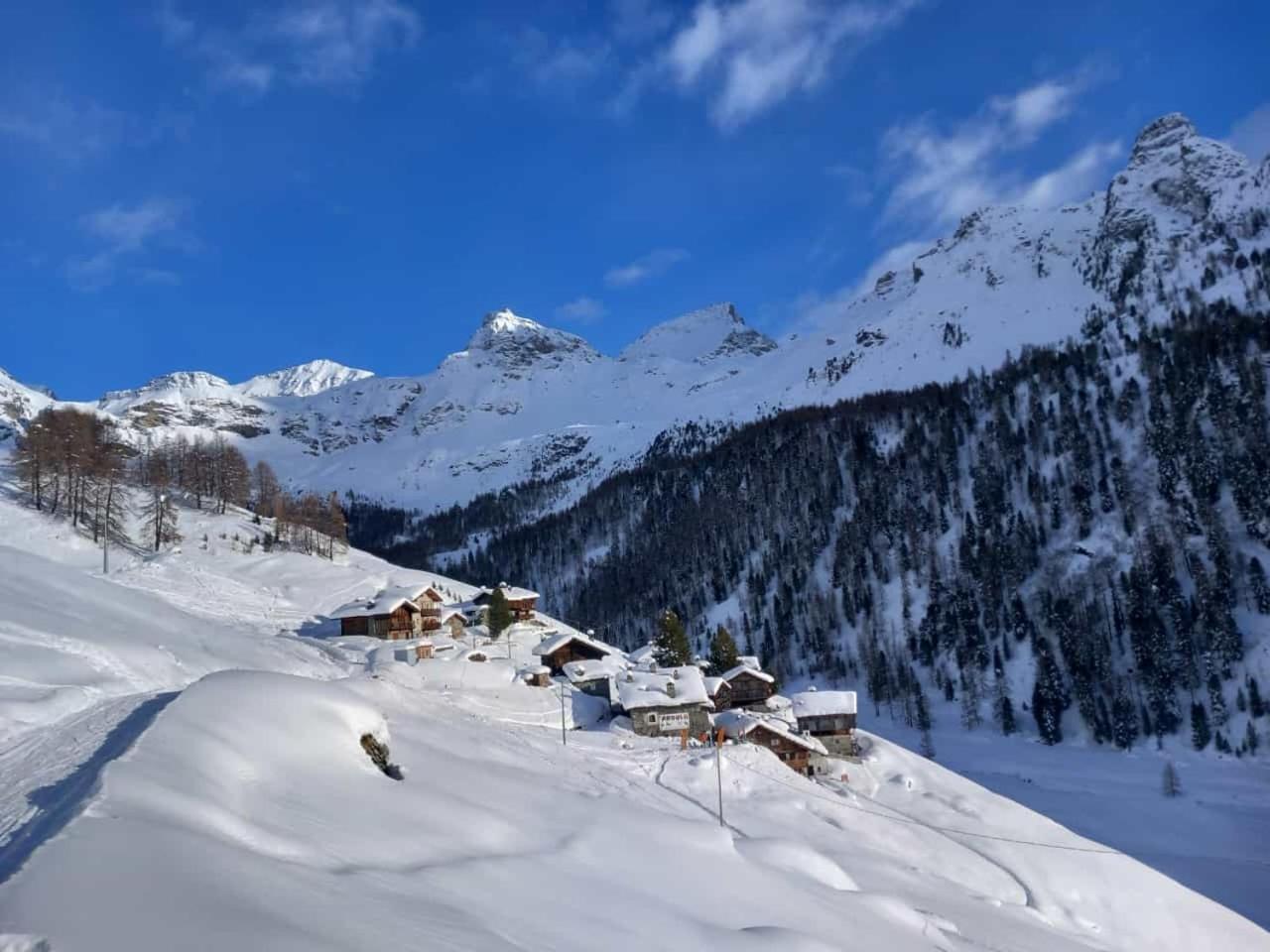 L' Aroula Rooms & Restaurant Champoluc Dış mekan fotoğraf