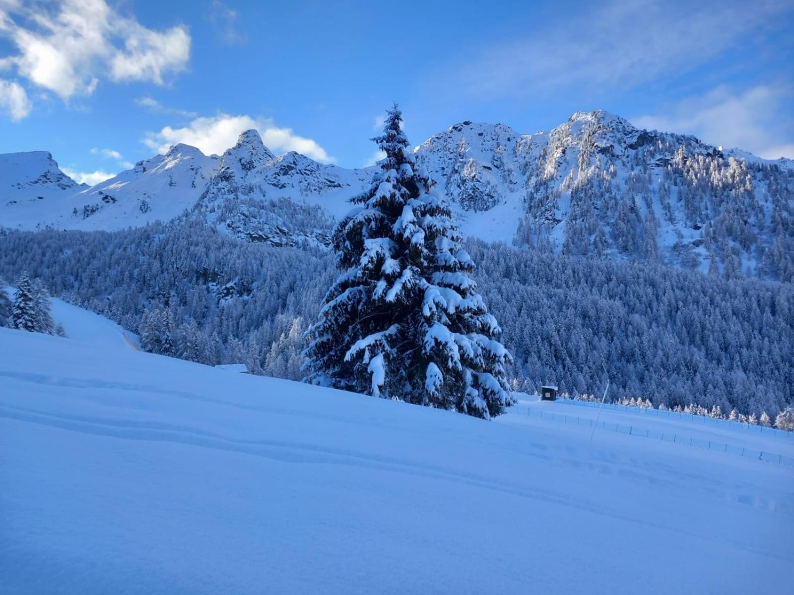 L' Aroula Rooms & Restaurant Champoluc Dış mekan fotoğraf
